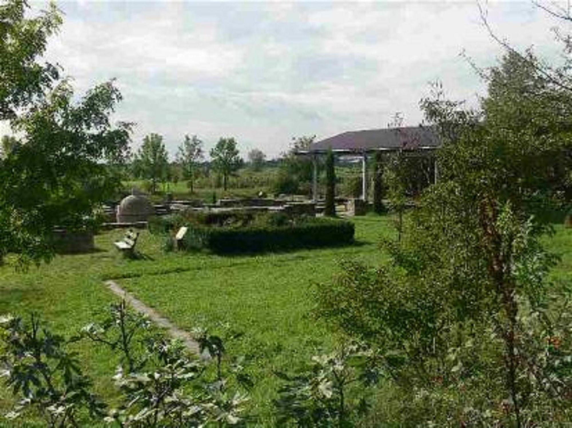 Hotel Goldbaechel Wachenheim an der Weinstraße Екстериор снимка